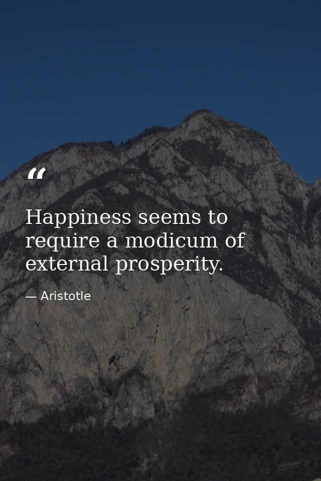 Happiness seems to require a modicum of external prosperity. — Aristotle