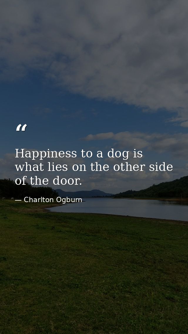Happiness to a dog is what lies on the other side of the door. — Charlton Ogburn