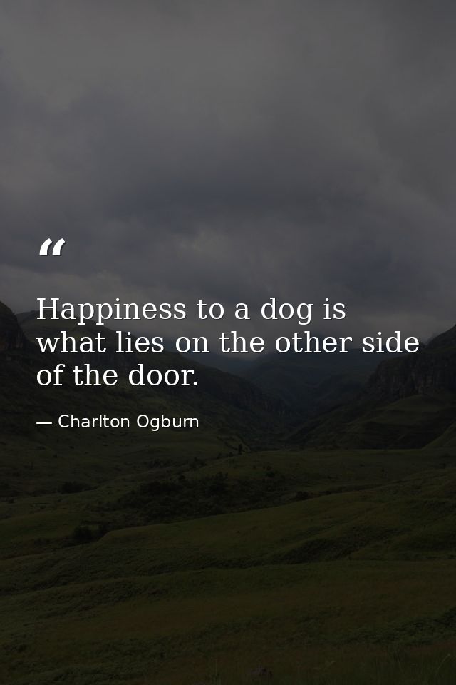 Happiness to a dog is what lies on the other side of the door. — Charlton Ogburn