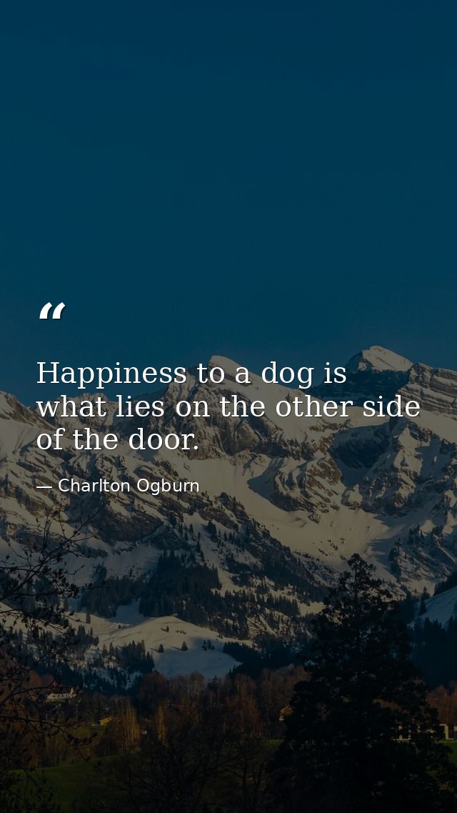 Happiness to a dog is what lies on the other side of the door. — Charlton Ogburn