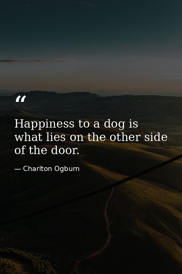 Happiness to a dog is what lies on the other side of the door. — Charlton Ogburn