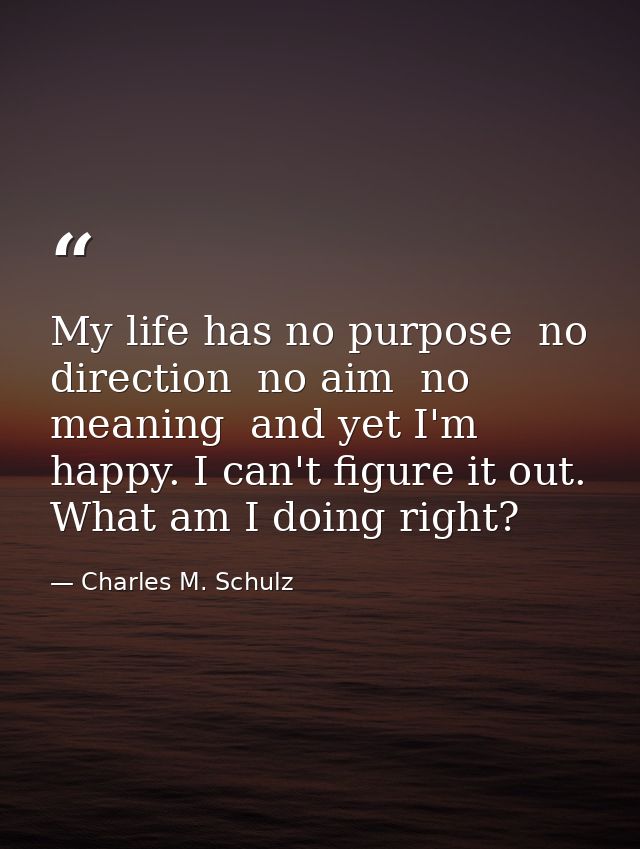 My life has no purpose  no direction  no aim  no meaning  and yet I'm happy. I can't figure it out. What am I doing righ — Charles M. Schulz