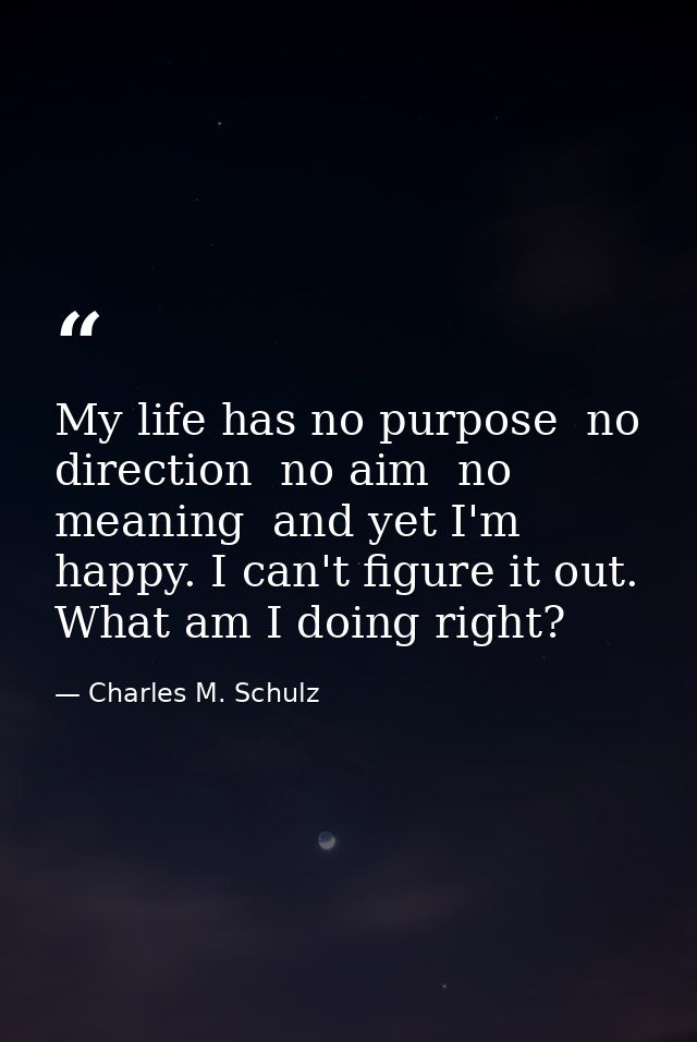 My life has no purpose  no direction  no aim  no meaning  and yet I'm happy. I can't figure it out. What am I doing righ — Charles M. Schulz