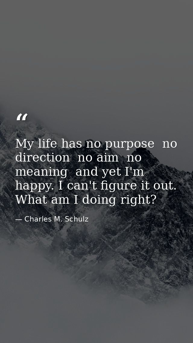 My life has no purpose  no direction  no aim  no meaning  and yet I'm happy. I can't figure it out. What am I doing righ — Charles M. Schulz