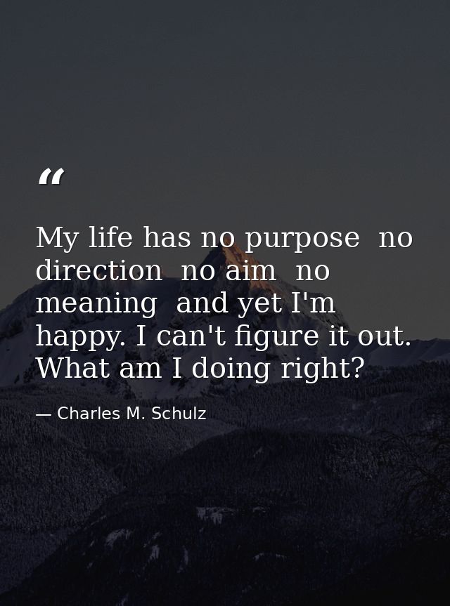 My life has no purpose  no direction  no aim  no meaning  and yet I'm happy. I can't figure it out. What am I doing righ — Charles M. Schulz