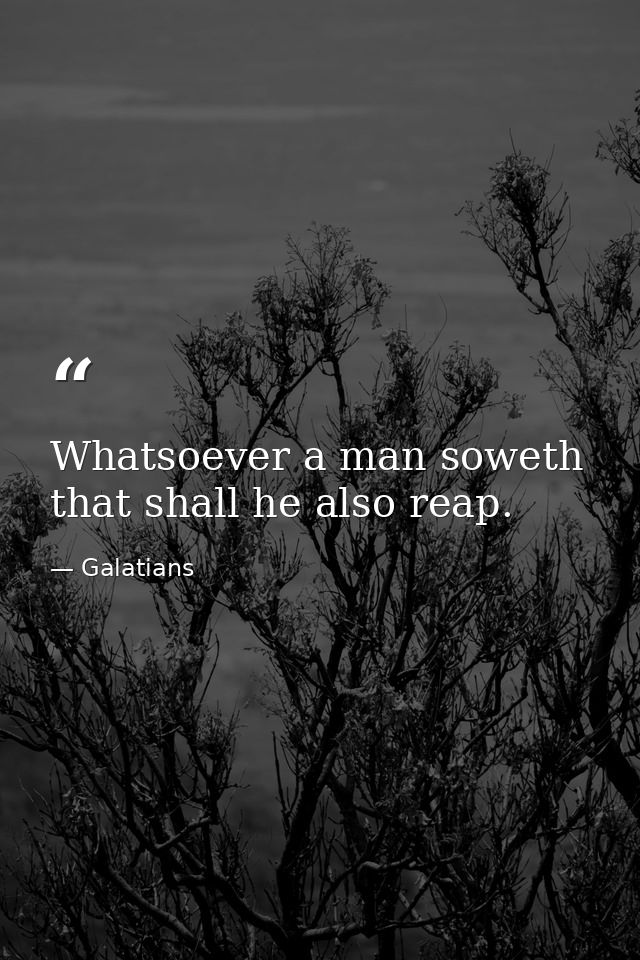 Whatsoever a man soweth  that shall he also reap. — Galatians