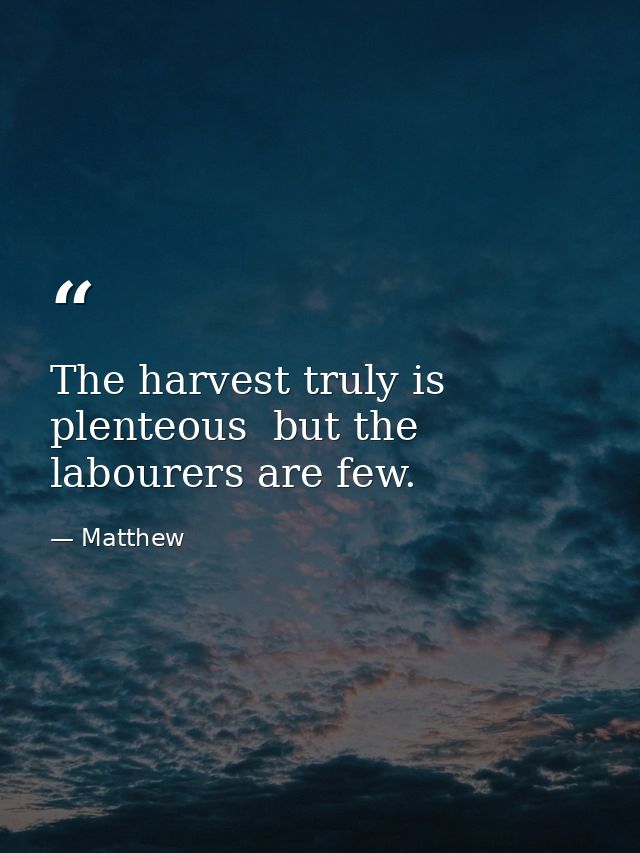 The harvest truly is plenteous  but the labourers are few. — Matthew