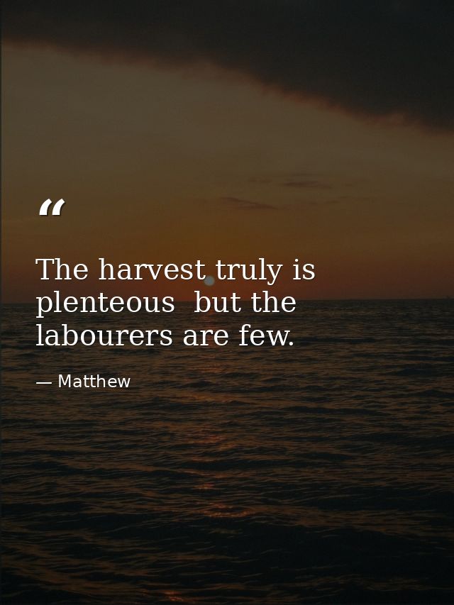 The harvest truly is plenteous  but the labourers are few. — Matthew