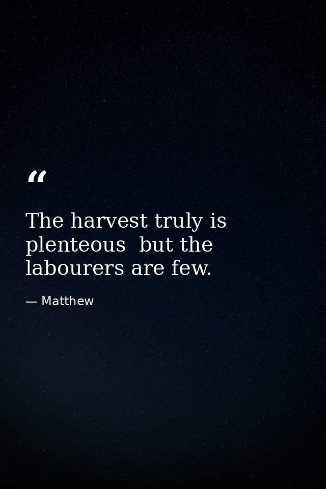 The harvest truly is plenteous  but the labourers are few. — Matthew
