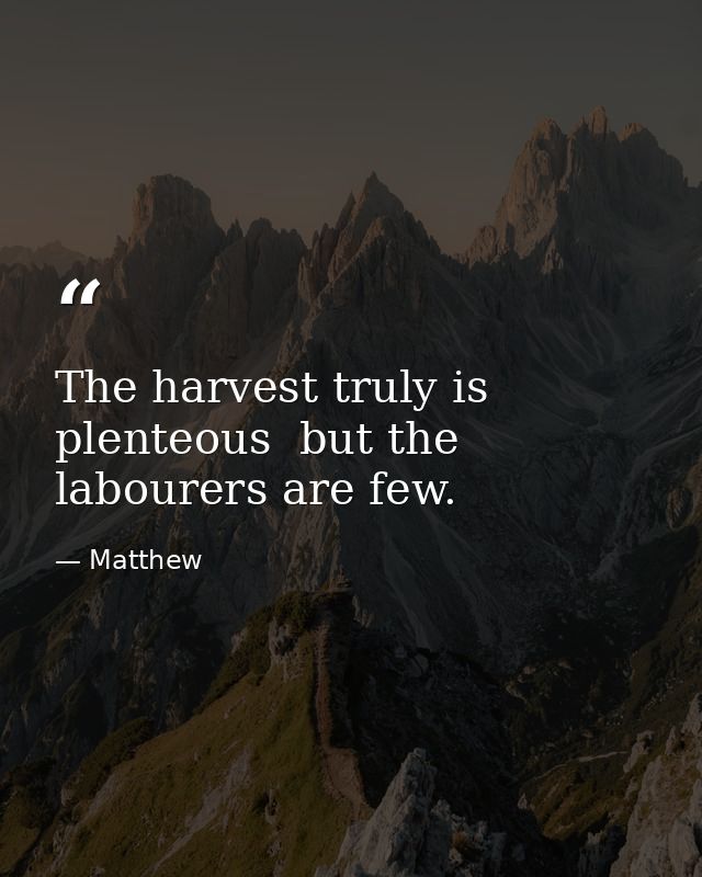 The harvest truly is plenteous  but the labourers are few. — Matthew