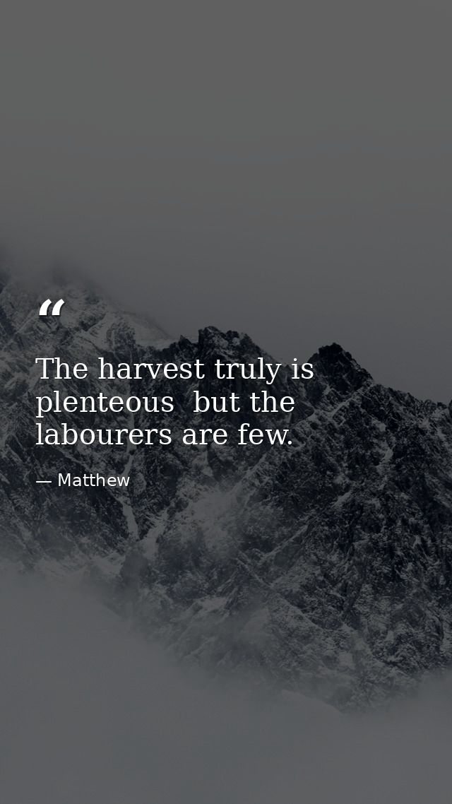 The harvest truly is plenteous  but the labourers are few. — Matthew