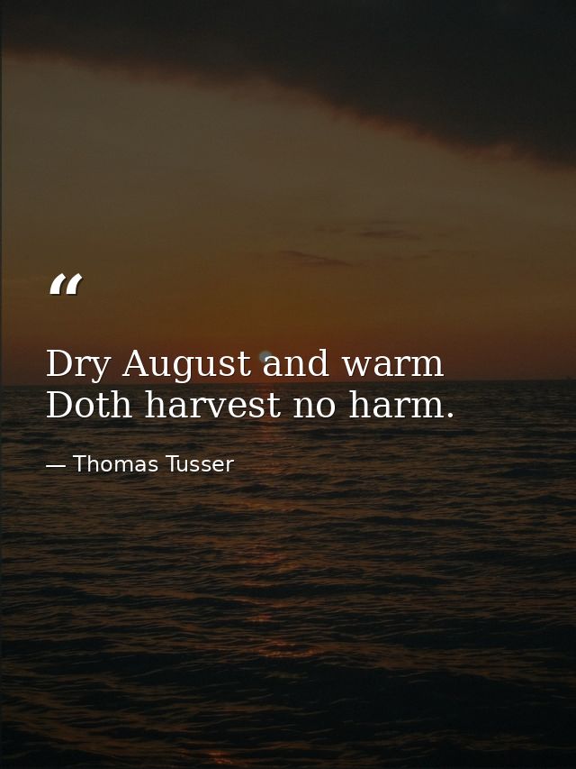 Dry August and warm  Doth harvest no harm. — Thomas Tusser