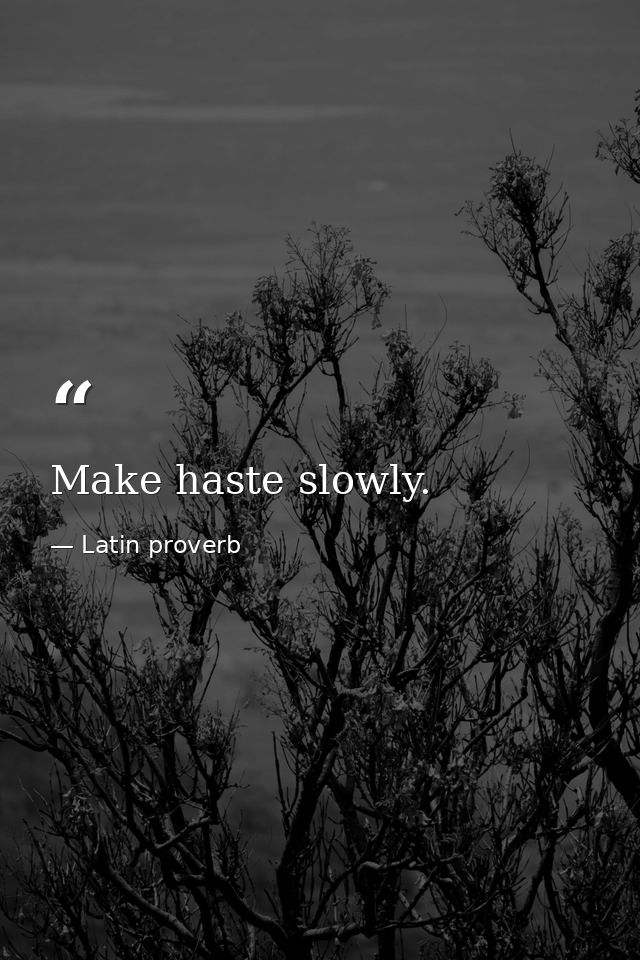 Make haste slowly. — Latin proverb