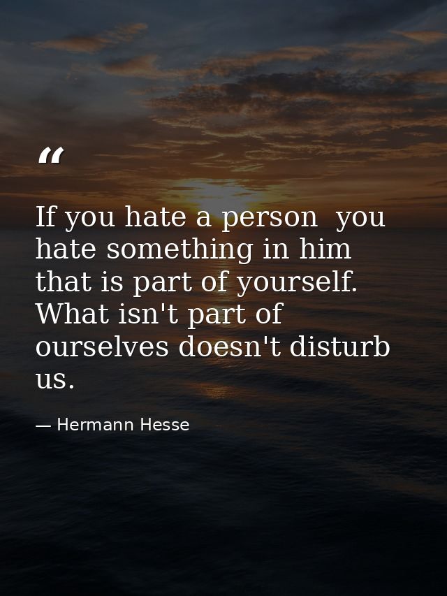 If you hate a person  you hate something in him that is part of yourself. What isn't part of ourselves doesn't disturb u — Hermann Hesse