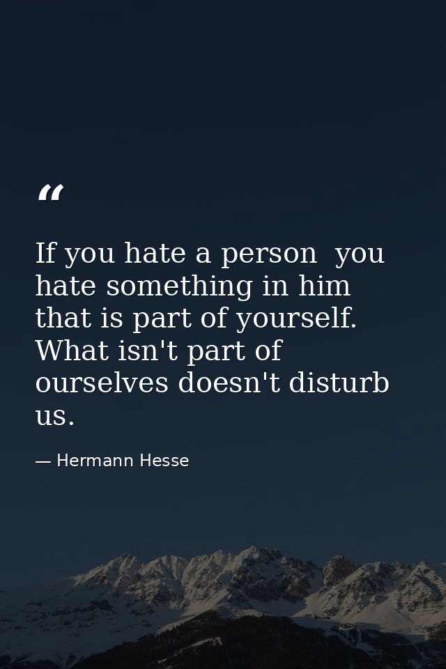 If you hate a person  you hate something in him that is part of yourself. What isn't part of ourselves doesn't disturb u — Hermann Hesse