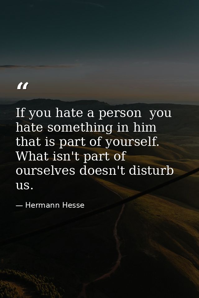 If you hate a person  you hate something in him that is part of yourself. What isn't part of ourselves doesn't disturb u — Hermann Hesse