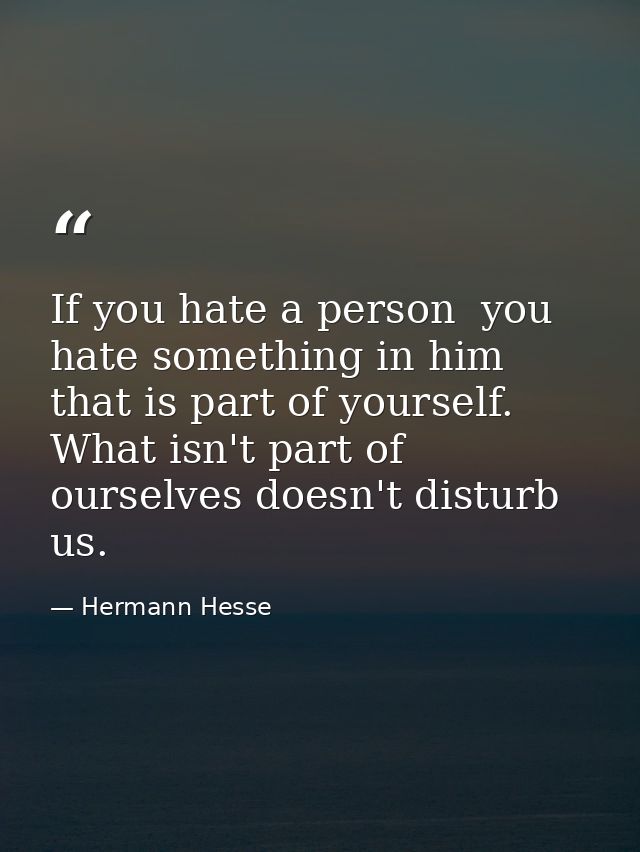 If you hate a person  you hate something in him that is part of yourself. What isn't part of ourselves doesn't disturb u — Hermann Hesse