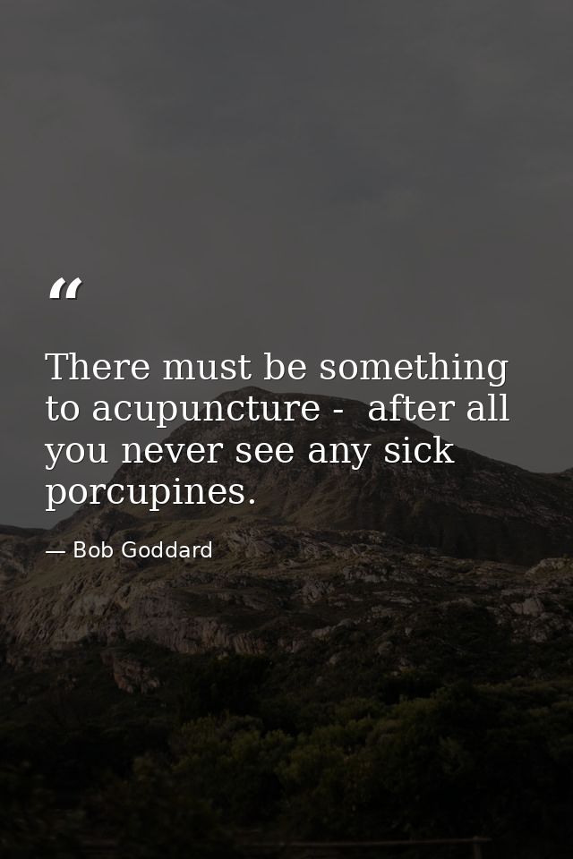 There must be something to acupuncture -  after all  you never see any sick porcupines. — Bob Goddard