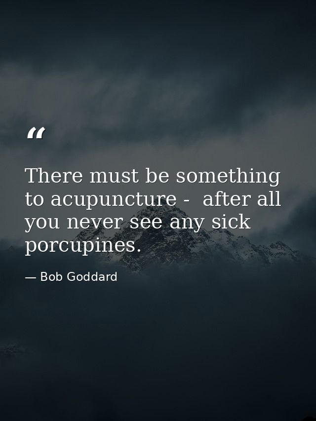There must be something to acupuncture -  after all  you never see any sick porcupines. — Bob Goddard