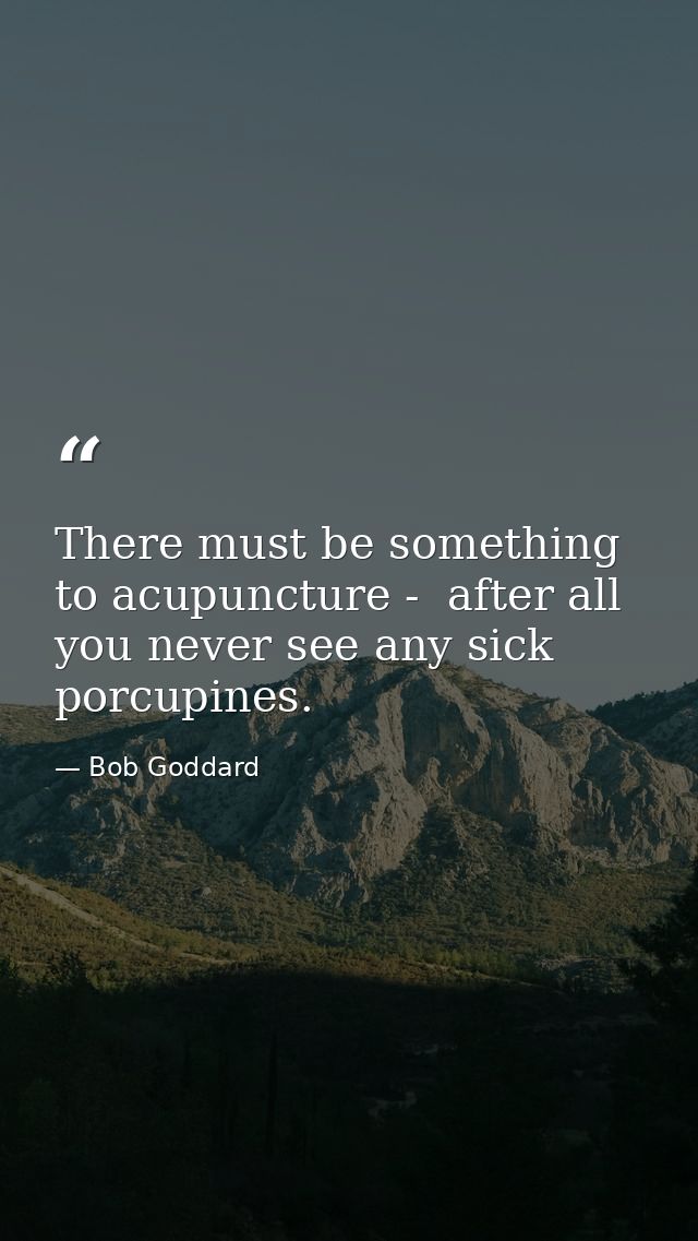 There must be something to acupuncture -  after all  you never see any sick porcupines. — Bob Goddard