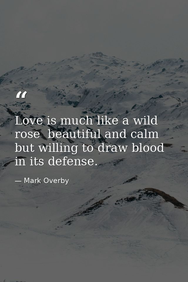 Love is much like a wild rose  beautiful and calm  but willing to draw blood in its defense. — Mark Overby