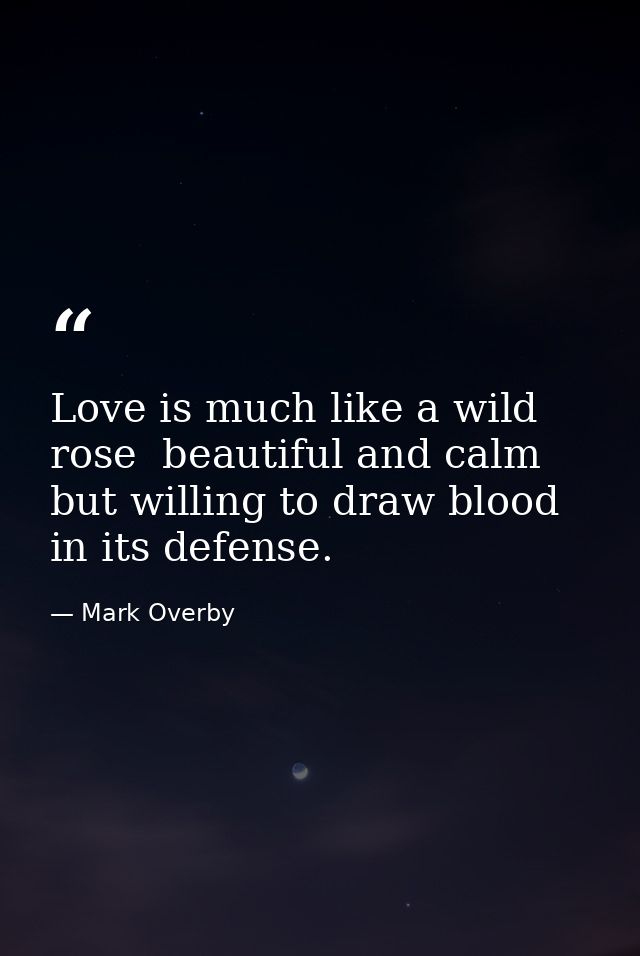 Love is much like a wild rose  beautiful and calm  but willing to draw blood in its defense. — Mark Overby