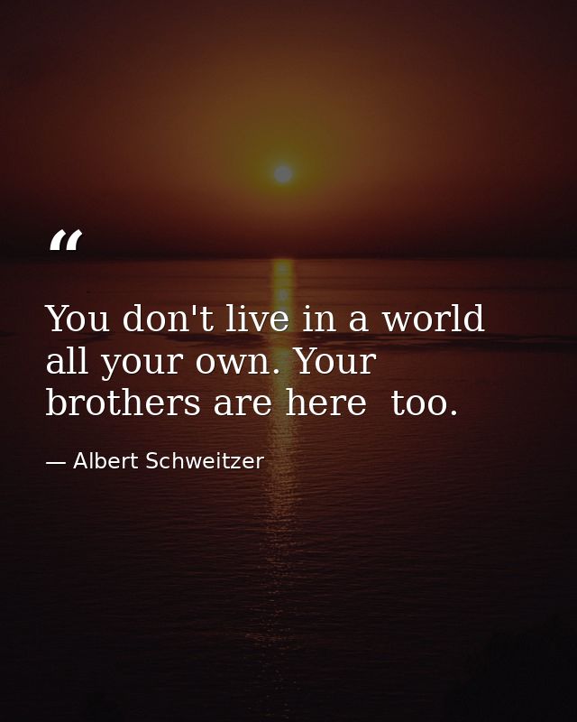 You don't live in a world all your own. Your brothers are here  too. — Albert Schweitzer