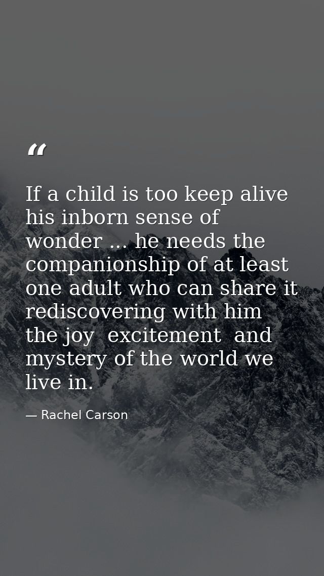 If a child is too keep alive his inborn sense of wonder ... he needs the companionship of at least one adult who can sha — Rachel Carson