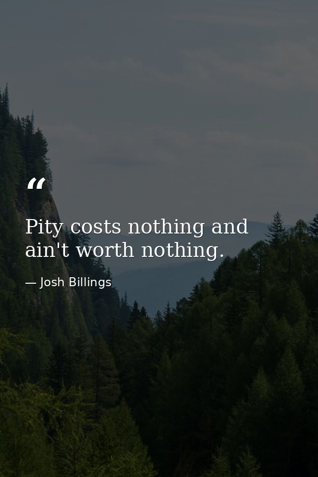Pity costs nothing and ain't worth nothing. — Josh Billings