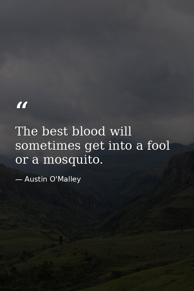 The best blood will sometimes get into a fool or a mosquito. — Austin O'Malley