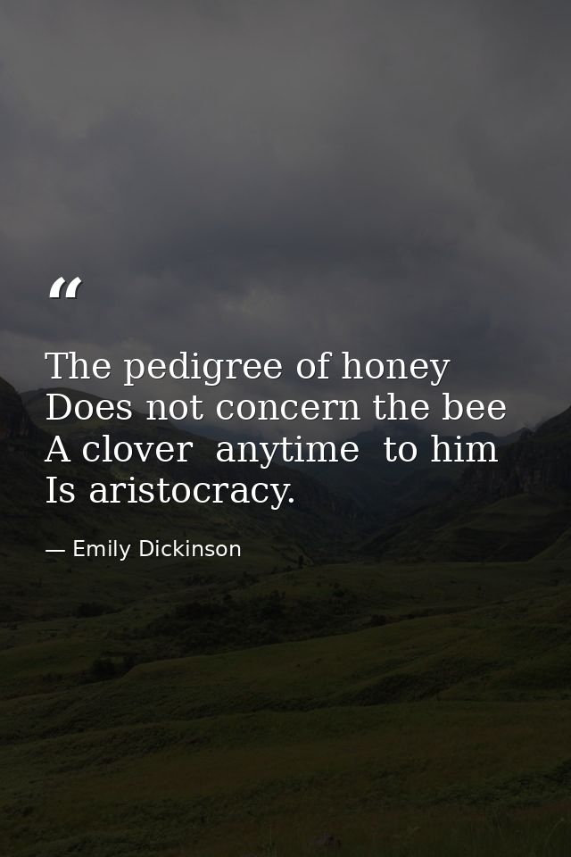 The pedigree of honey Does not concern the bee  A clover  anytime  to him Is aristocracy. — Emily Dickinson