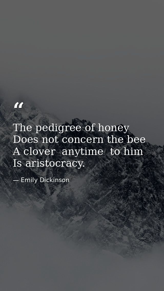 The pedigree of honey Does not concern the bee  A clover  anytime  to him Is aristocracy. — Emily Dickinson