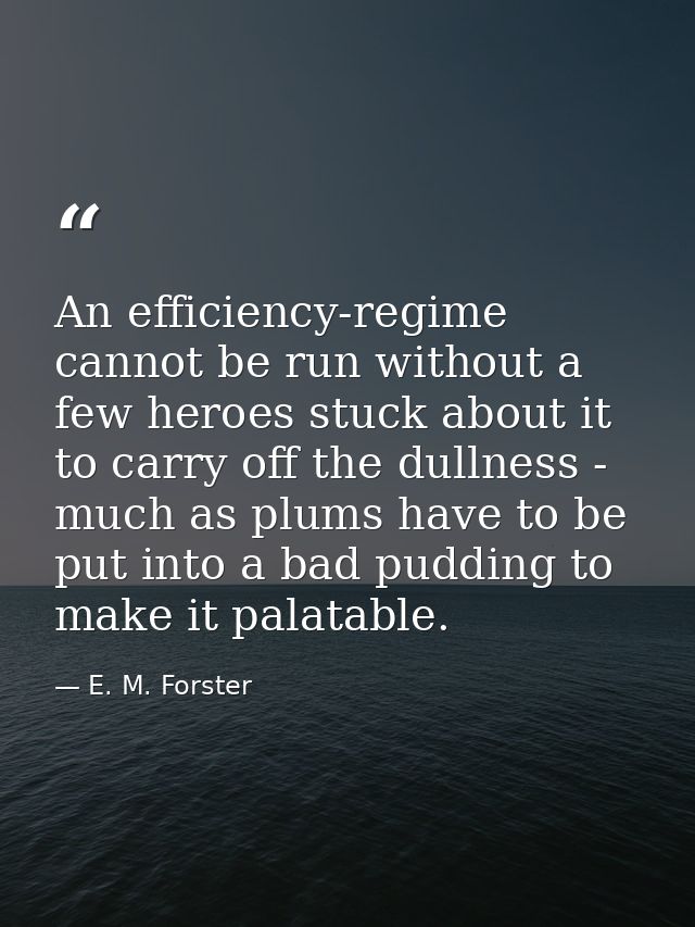An efficiency-regime cannot be run without a few heroes stuck about it to carry off the dullness - much as plums have to — E. M. Forster