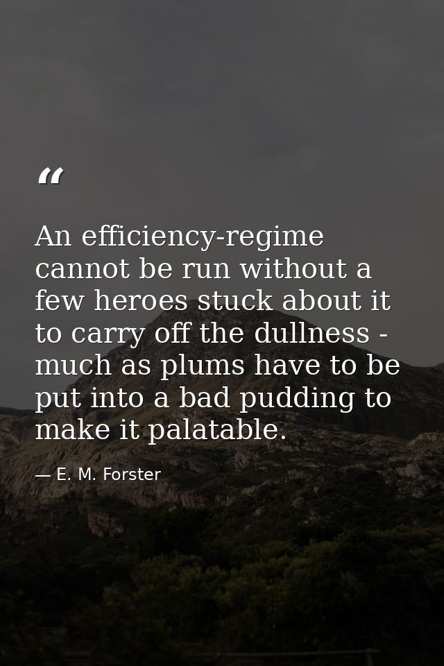 An efficiency-regime cannot be run without a few heroes stuck about it to carry off the dullness - much as plums have to — E. M. Forster