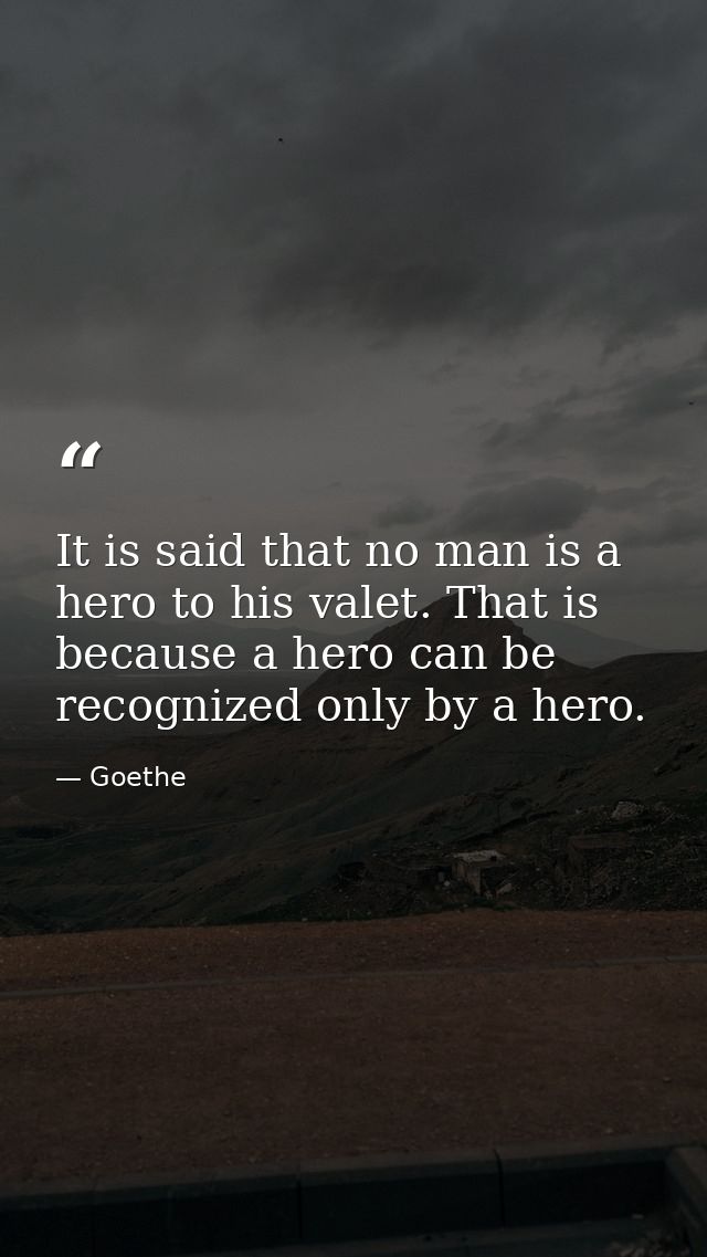 It is said that no man is a hero to his valet. That is because a hero can be recognized only by a hero. — Goethe