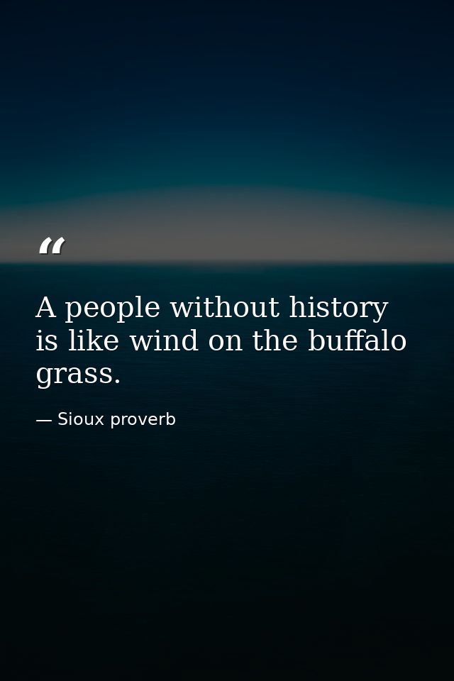 A people without history is like wind on the buffalo grass. — Sioux proverb