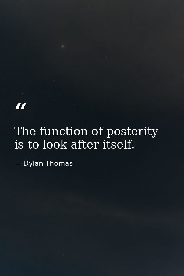 The function of posterity is to look after itself. — Dylan Thomas