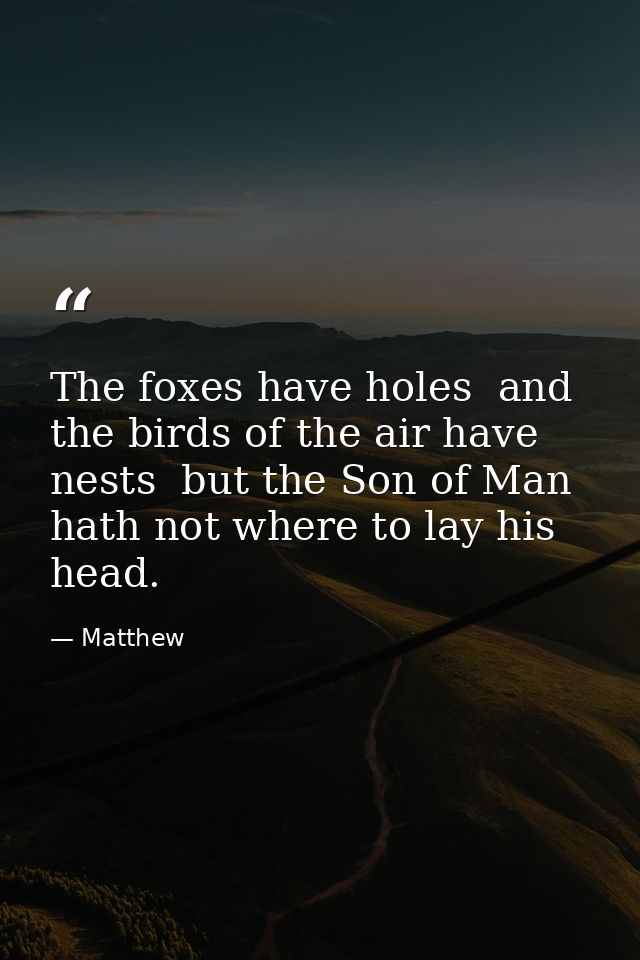 The foxes have holes  and the birds of the air have nests  but the Son of Man hath not where to lay his head. — Matthew