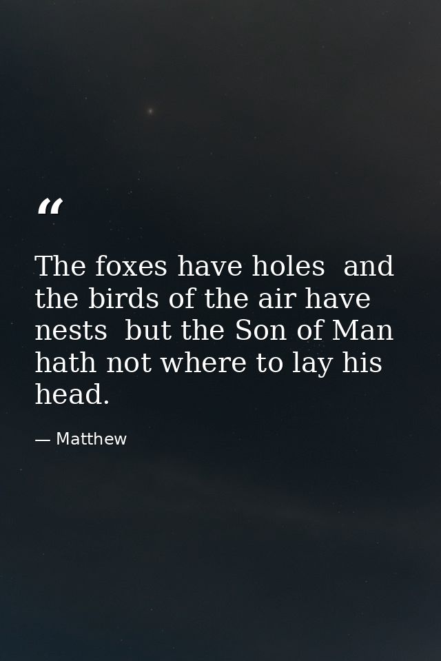 The foxes have holes  and the birds of the air have nests  but the Son of Man hath not where to lay his head. — Matthew