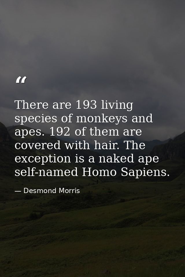 There are 193 living species of monkeys and apes. 192 of them are covered with hair. The exception is a naked ape  self- — Desmond Morris