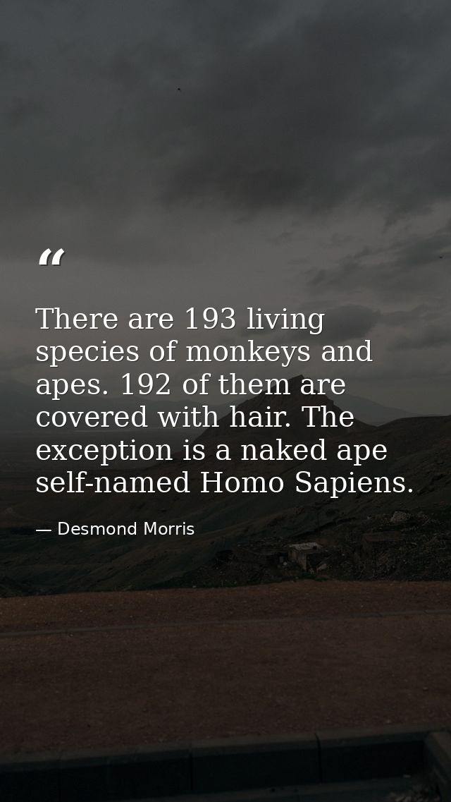 There are 193 living species of monkeys and apes. 192 of them are covered with hair. The exception is a naked ape  self- — Desmond Morris