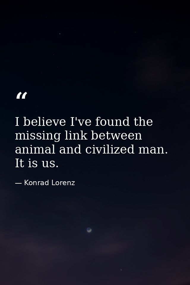 I believe I've found the missing link between animal and civilized man. It is us. — Konrad Lorenz