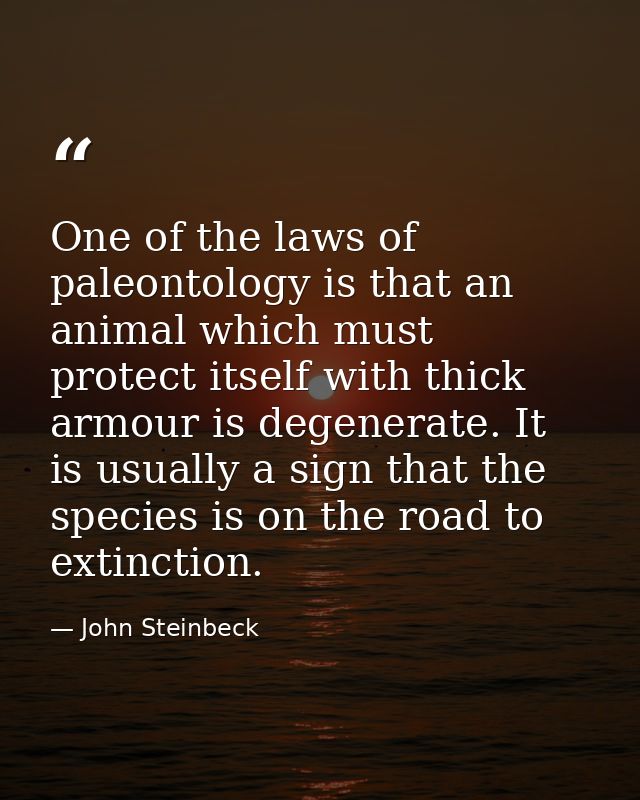 One of the laws of paleontology is that an animal which must protect itself with thick armour is degenerate. It is usual — John Steinbeck
