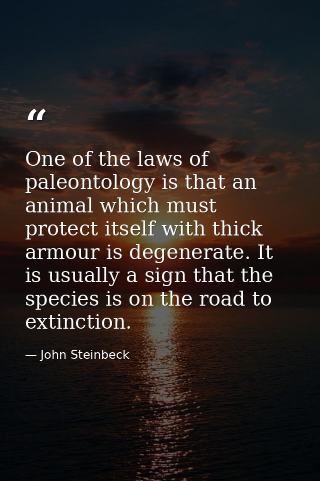 One of the laws of paleontology is that an animal which must protect itself with thick armour is degenerate. It is usual — John Steinbeck