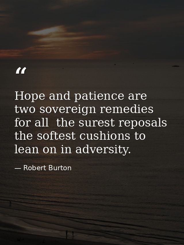 Hope and patience are two sovereign remedies for all  the surest reposals  the softest cushions to lean on in adversity. — Robert Burton