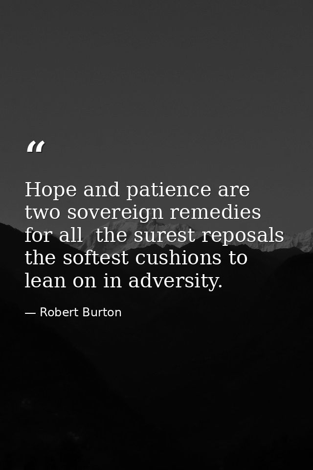 Hope and patience are two sovereign remedies for all  the surest reposals  the softest cushions to lean on in adversity. — Robert Burton