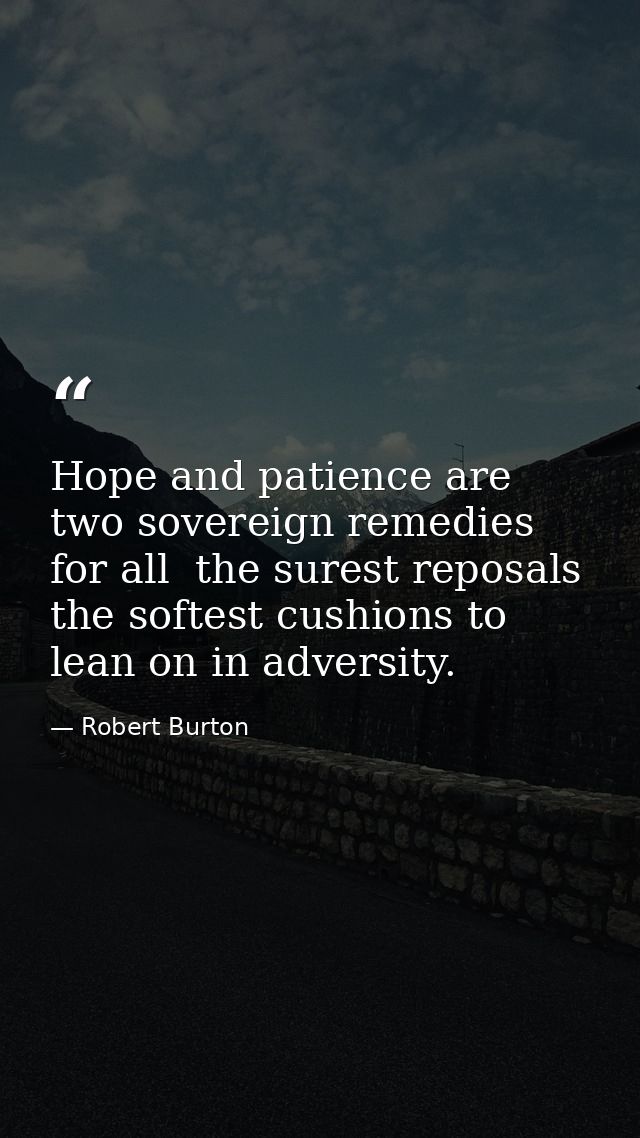 Hope and patience are two sovereign remedies for all  the surest reposals  the softest cushions to lean on in adversity. — Robert Burton