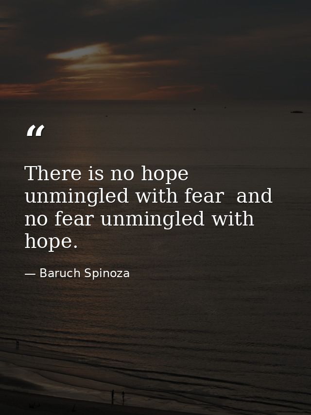 There is no hope unmingled with fear  and no fear unmingled with hope. — Baruch Spinoza