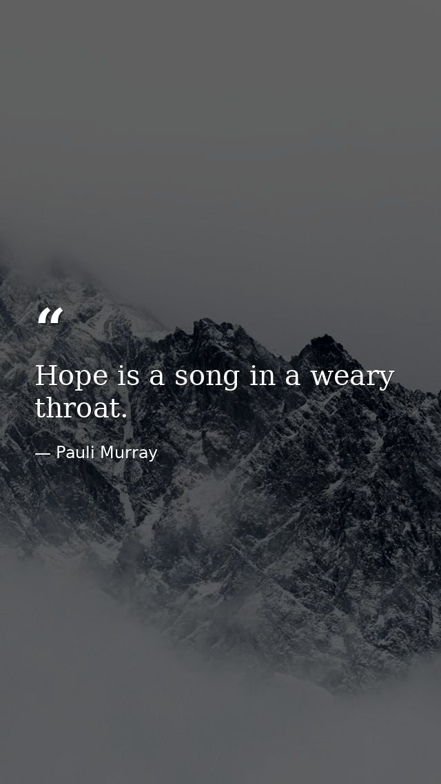 Hope is a song in a weary throat. — Pauli Murray