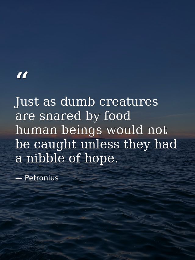 Just as dumb creatures are snared by food  human beings would not be caught unless they had a nibble of hope. — Petronius